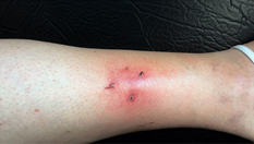 moreton01.jpg (207231 bytes)